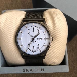 Skagen Men’s Holst Steel Mesh Multifunction Watch